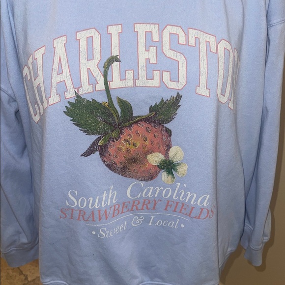 Arula Strawberry Fields Light Blue Graphic Sweatshirt 2X - Picture 4 of 5